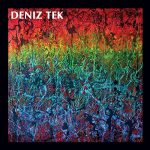 Deniz Tek - Mean Old Twister