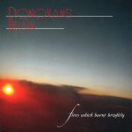 Donovan's Brain - Fires Which Burnt Brightly